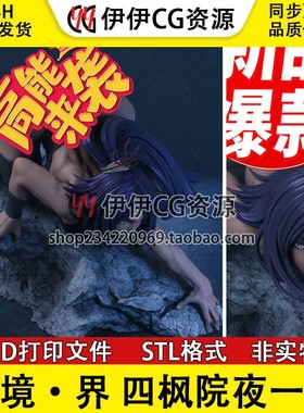 四枫院夜一 Yoruichi《境·界》3D打印模型图纸STL数据文件分件