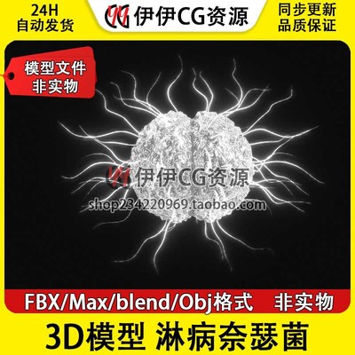 3D模型3Dmax FBX医学模型淋球菌淋病奈瑟菌病毒PBR细菌感染传染病