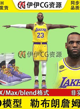 3D模型素材3Dmax NBA篮球运动员湖人队LebronJames勒布朗詹姆斯鞋
