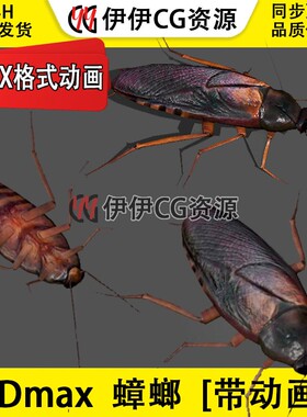 3D模型3DMax动物蟑螂昆虫小强蜚蠊灶蚂子FBX动画文件cockroaches