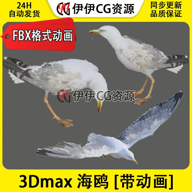 3DMax动物模型3D模型UE4海鸥Seagull飞禽海鸟水鸟FBX动画文件飞行