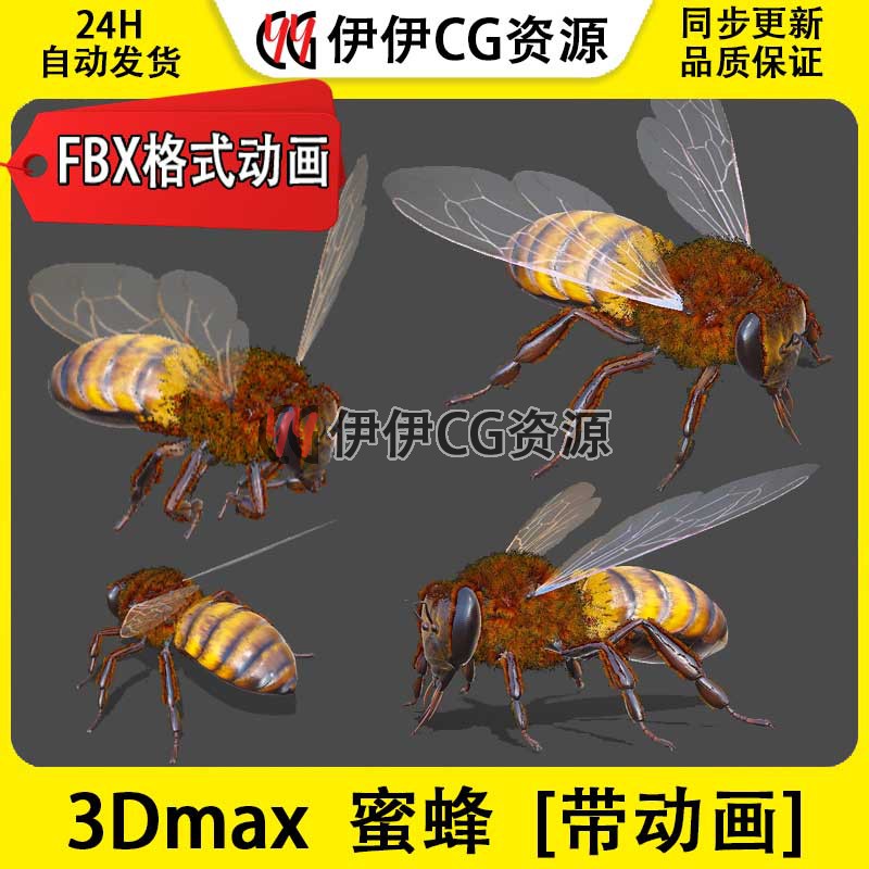 3DMax动物模型3D模型蜜蜂bee黄蜂胡蜂马蜂虫类昆虫FBX动画文件