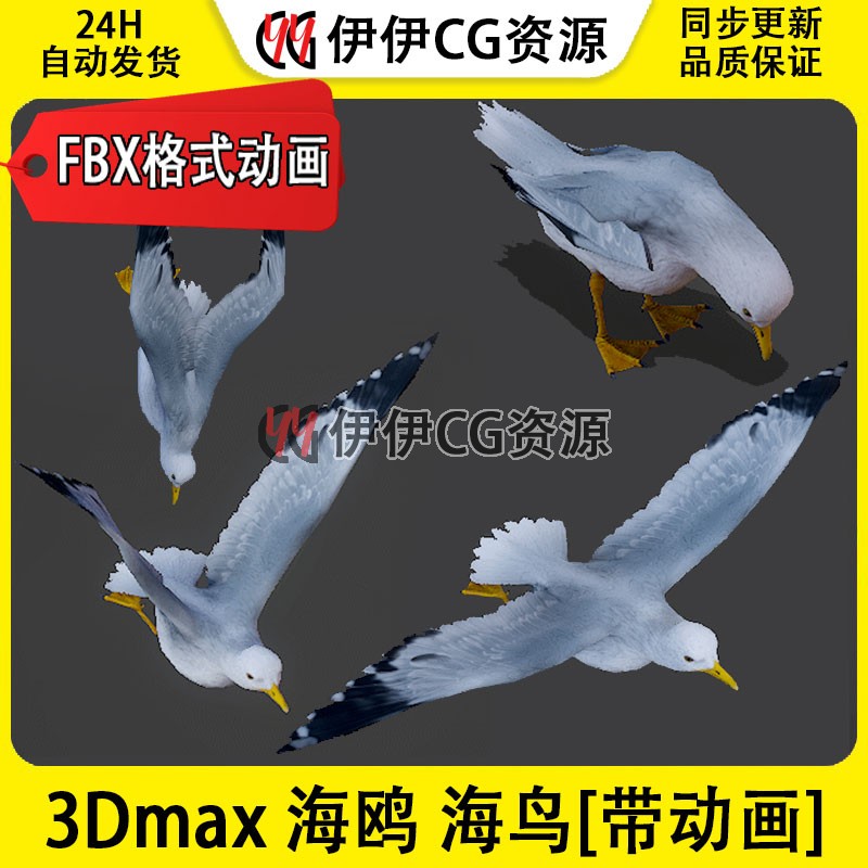 3DMax动物模型3D模型海鸥Seagull飞禽海鸟水鸟FBX动画文件飞行鸟