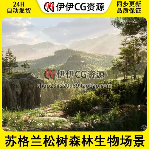 UE4虚幻3A影视级苏格兰松树森林生物场景Scots Pine Forest Biome