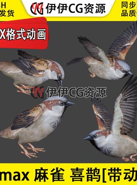 3DMax动物模型3D模型 小鸟喜鹊飞禽鸟麻雀FBX动画绑定飞行sparrow