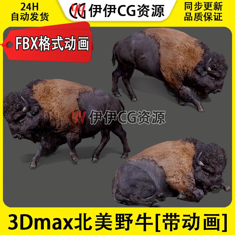 3D模型3DMax动物模型美洲野牛公牛FBX动画文件牦牛水牛犎牛bison