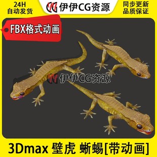 3DMax动物模型3D模型壁虎lizard蜥蜴睫角守宫变色龙FBX动画文件