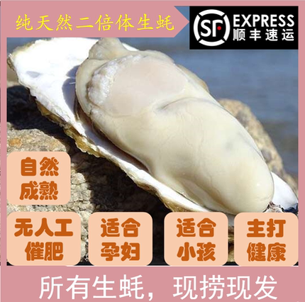 乳山野生生蚝鲜活10斤一箱保肥包邮特大带壳牡蛎即食海蛎威海海鲜