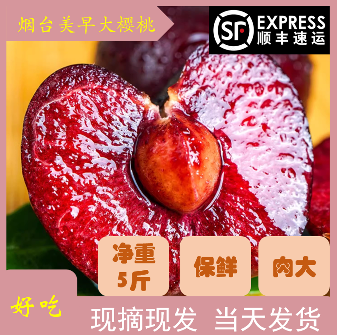 美早大樱桃烟台现摘现发顺丰空运