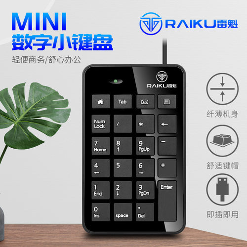 RAIKU雷魁 K-601数字小键盘usb迷你23键会计键盘财务有线键盘跨境