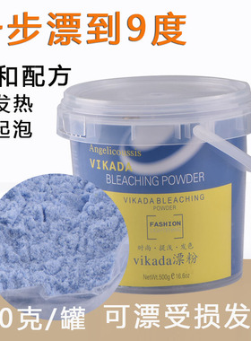 专业美发蓝色无尘漂粉温和褪色粉理发店染发毛白剂芳香双氧奶潮粉