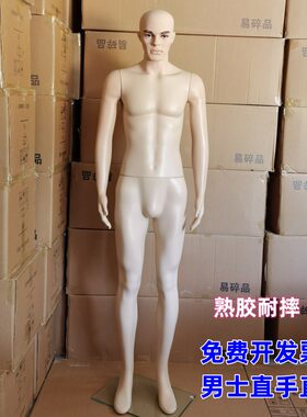 直立男模特道具假人模特塑料人体