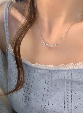 2025新款轻奢精致锆石小花项链女夏小众设计感锁骨链高级感气质脖