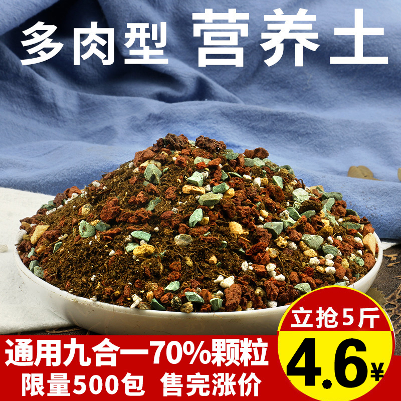 多肉植物专用营养土通用土肉肉