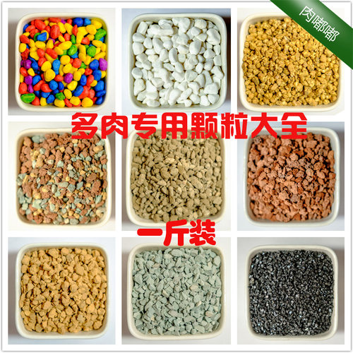 种植赤玉土多肉铺面石包邮