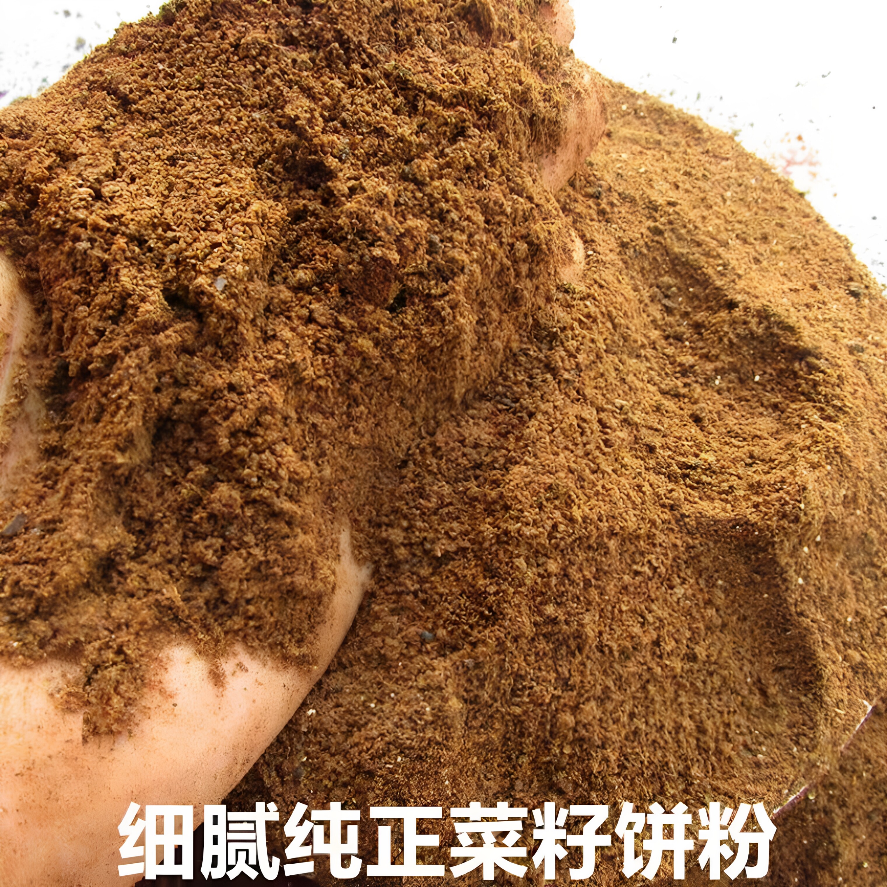 家用菜籽饼粉油枯菜子枯饼现榨新鲜肥料种菜种花钓鱼打窝饵料正品