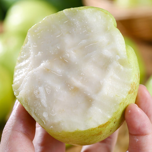 【小果款】广西白心奶油芭乐番石榴水果软糯款拍3/5斤包邮