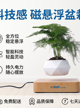 磁悬浮创意盆栽桌面绿植摆件礼物