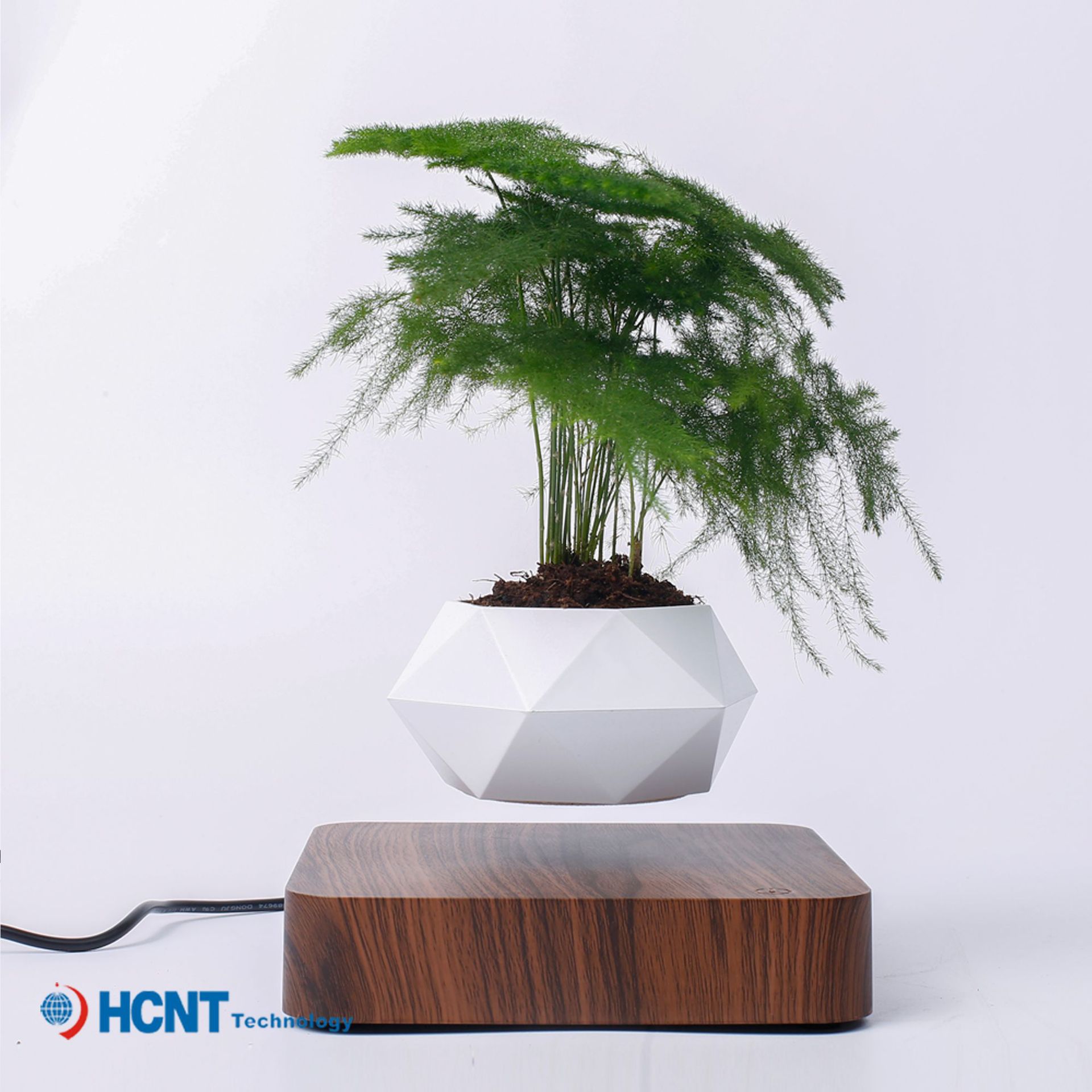 客厅家居摆件网红创意工艺品植物盆景批发磁悬浮盆栽花盆绿植