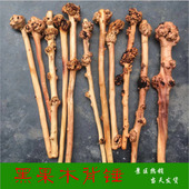 云南黑果木树瘤捶背根雕 天然树瘤棍健身 山茶木疙瘩木保健锤