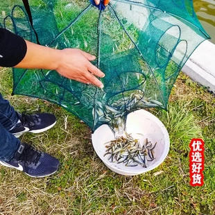 虾笼捕鱼笼小鱼网扑龙虾网捞金鱼笼渔网折叠伞形地箜网鱼抓虾神器