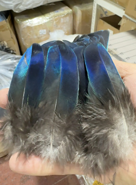 点翠工艺羽毛孔雀翅膀大蓝片DIY手工艺品制作饰品 耳饰自然新中式