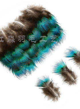 红淼孔雀蓝片特色自然色款