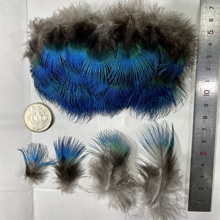 天然孔雀羽毛纯蓝色蓝片仿点翠diy毕业设计手工饰品配件服装装饰