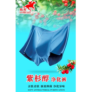 艾草抑菌蚕丝滋养平角裤 榄爽4条装 三重净化养生内裤 内裤 7635 男士