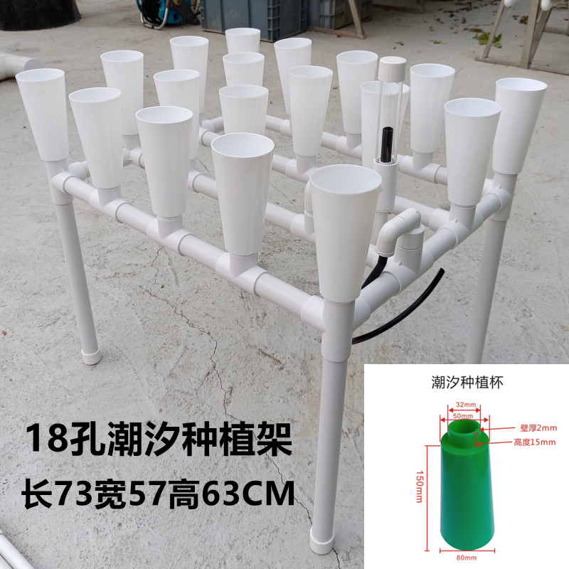 鱼菜共生无土栽培虹吸系统阳台