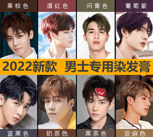 染发膏男生专用黑茶灰色染发剂2026流行色显白自己在家染纯植物男