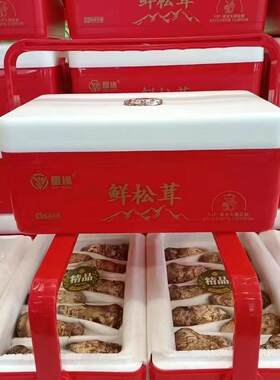 9-12厘米野生松茸新鲜东北长白山吉林延边延吉