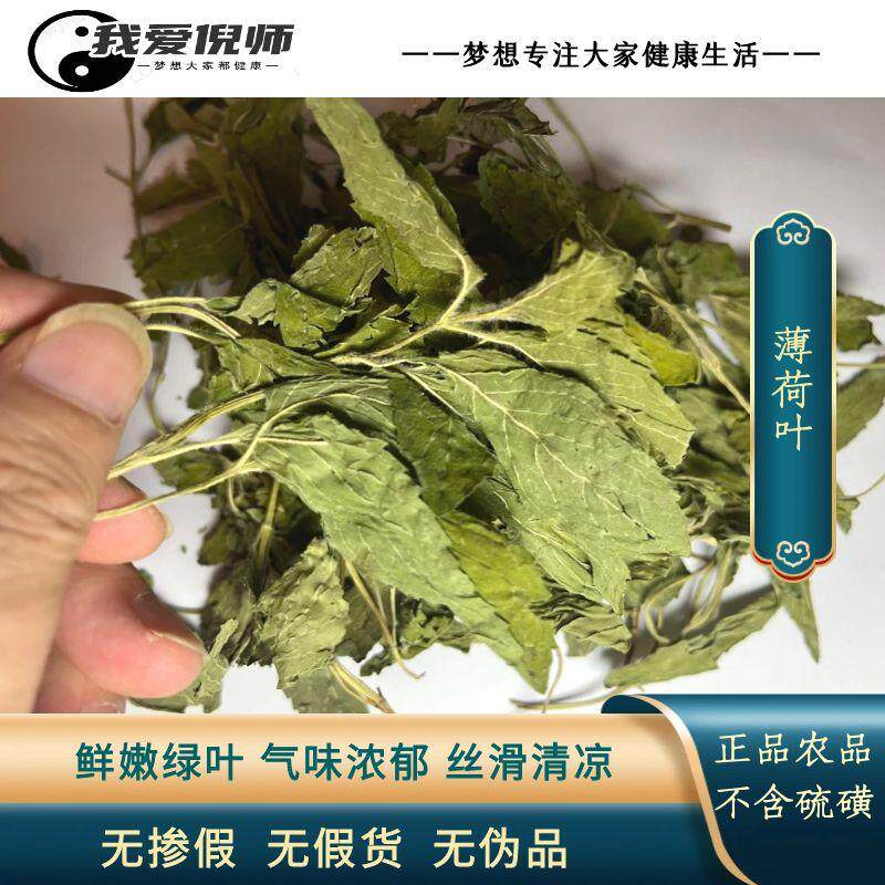 薄荷叶 优质新鲜干叶薄荷 气味浓郁正品薄荷
