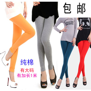 女加长肤色全棉九分裤 春秋百搭糖果色九分打底裤 薄胖MM加大码 包邮