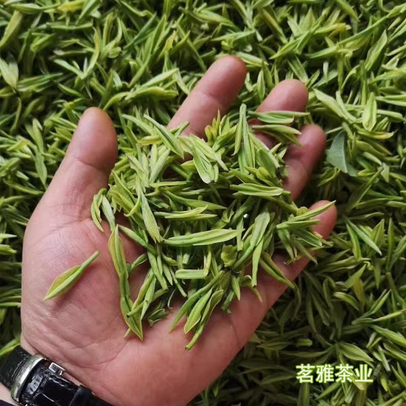 2025年新茶安吉白茶250g春季绿茶珍稀散装明前特级正宗高山茶叶