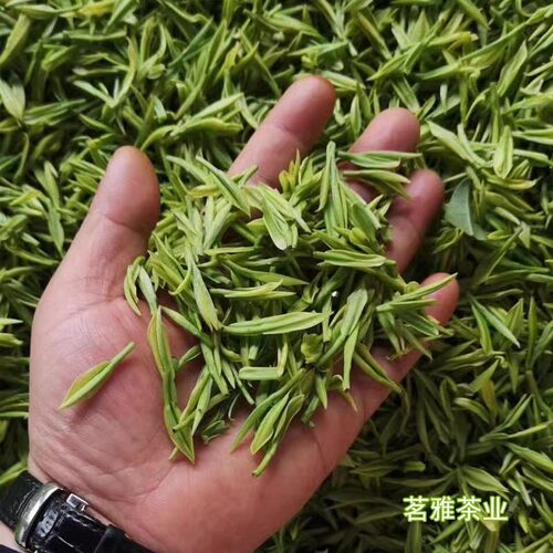2026年安吉白茶春季明前特级
