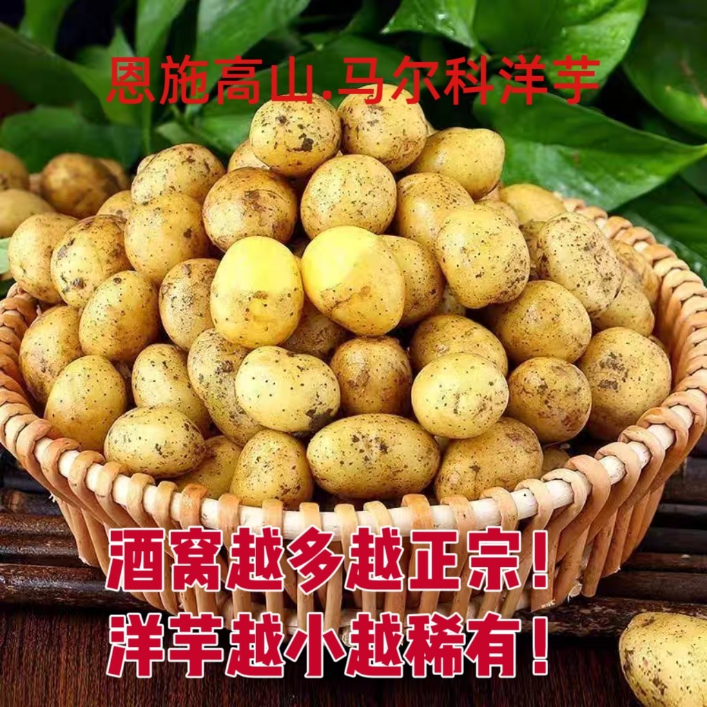 恩施马尔科小土豆黄皮黄心黄洋芋