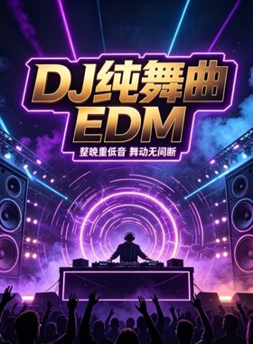 DJ纯舞曲EDM类音乐u盘优盘单一单纯环绕强劲低音家庭家用车用车载