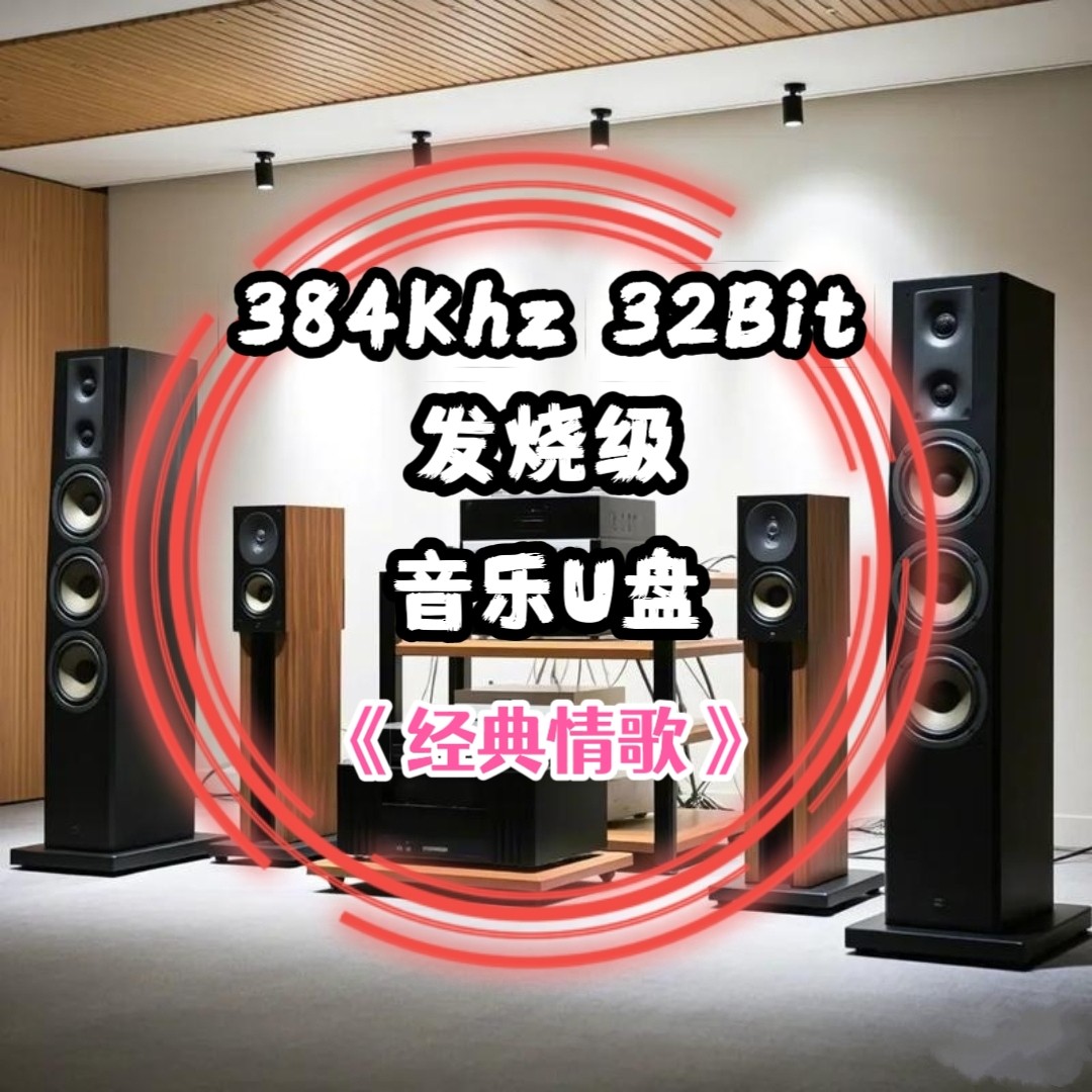 384khz32bit转盘数字音乐u盘发烧级经典情歌无损wav立体分轨解码