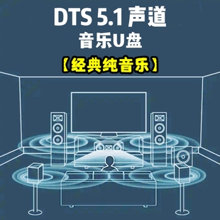 dts5.1wav格式音乐u盘乐器演奏纯音乐共6条独立分离音轨家用车用