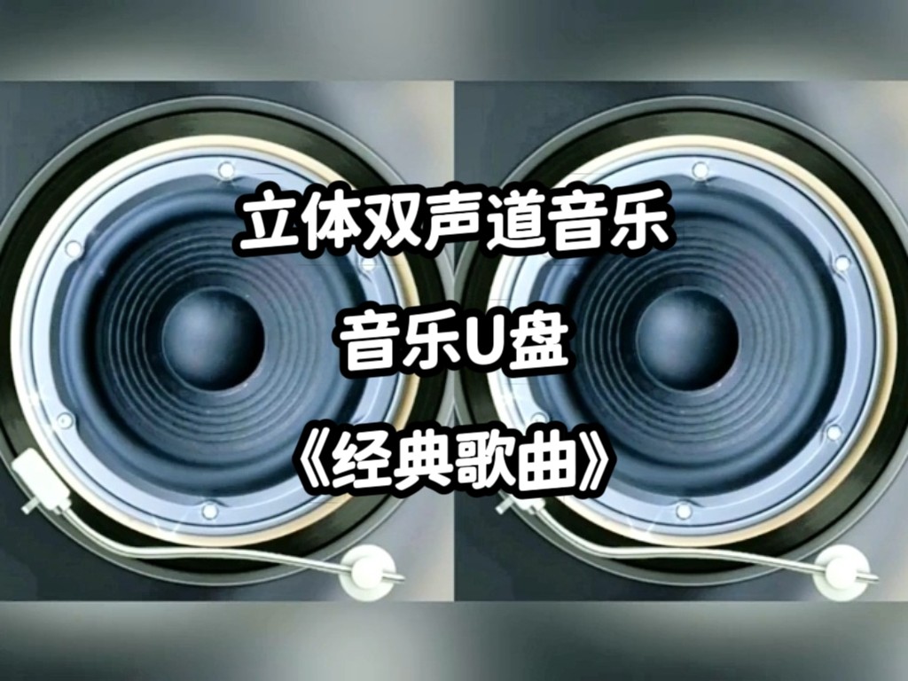 立体双声道音乐u盘歌曲类车用车载高音质左右分轨分离环绕重低音