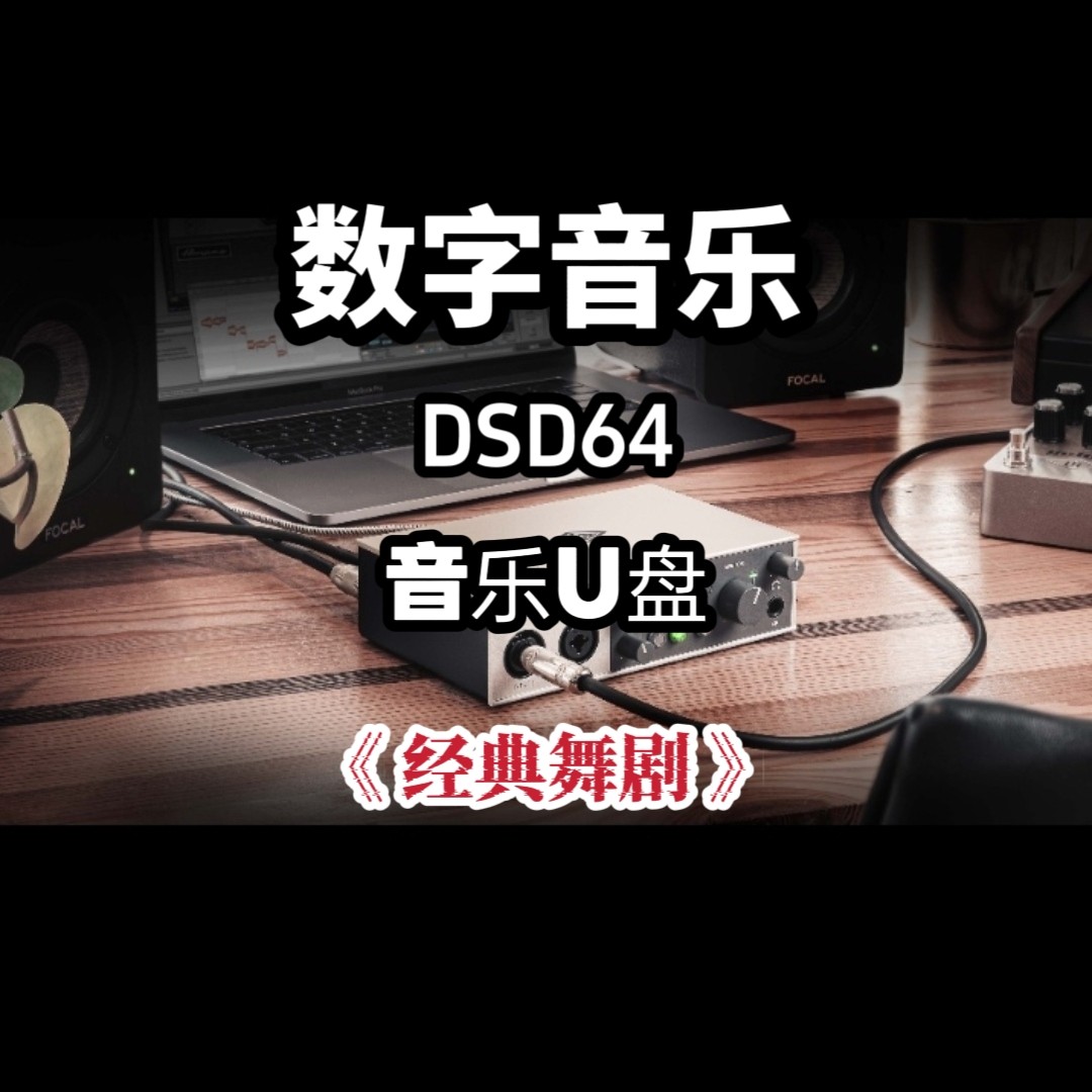 DSD数字音乐u盘经典舞剧立体声分轨环绕重低音家用车用车载解码