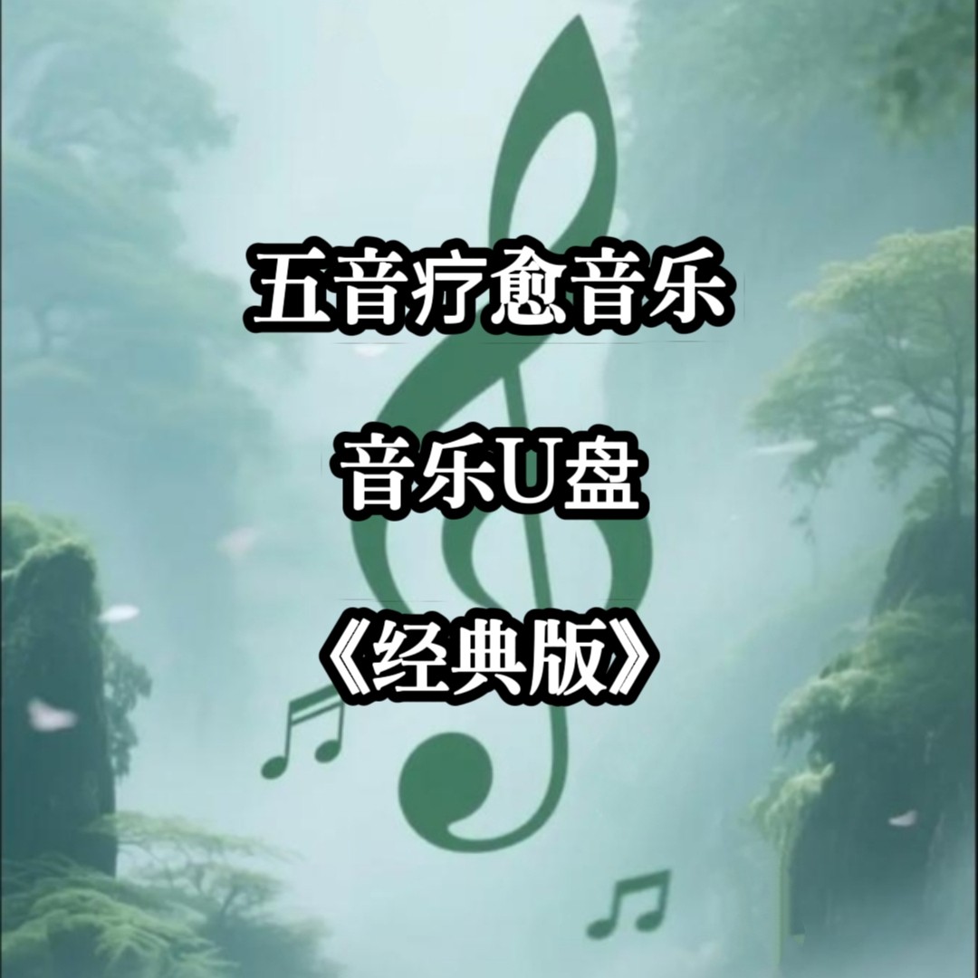 五音疗愈音频音乐U盘五行高品质MP3格式立体环绕家庭家用usb优盘