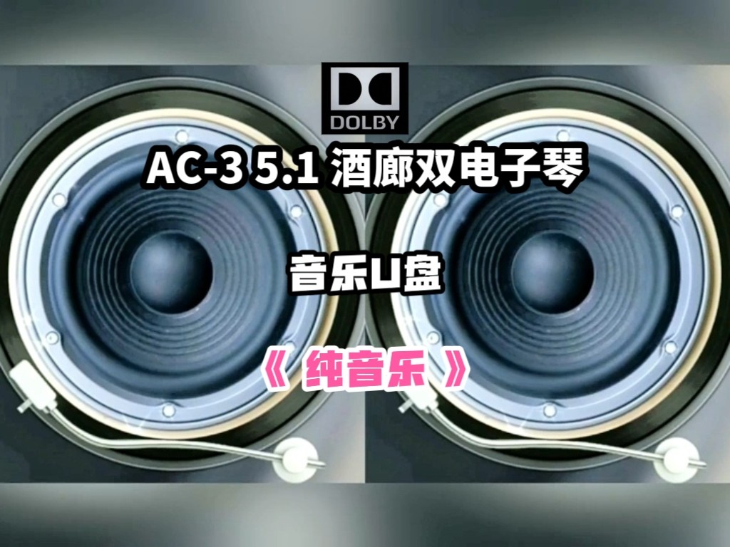 AC-3 5.1声道酒廊双电子琴纯音乐u盘家用车用车载分轨环绕解码