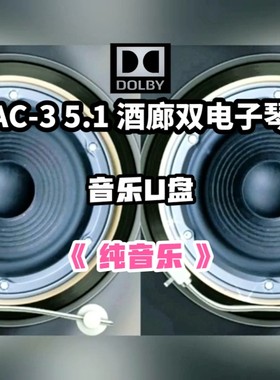 AC-3 5.1声道酒廊双电子琴纯音乐u盘家用车用车载分轨环绕解码