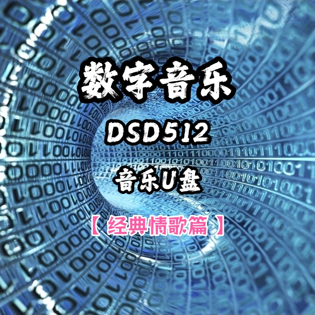 DSD数字音乐u盘经典情歌高解析度立体声分轨环绕家用车用车载解码