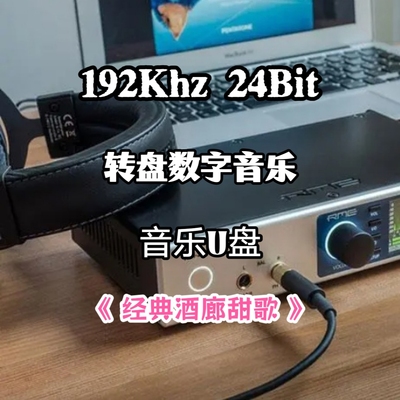 192khz24bit转盘数字音乐u盘经典酒廊甜歌无损wav立体分轨解码