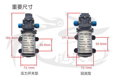 微型电动隔膜泵自吸增压清洗机直流水泵果树打药泵家用12V24V80W