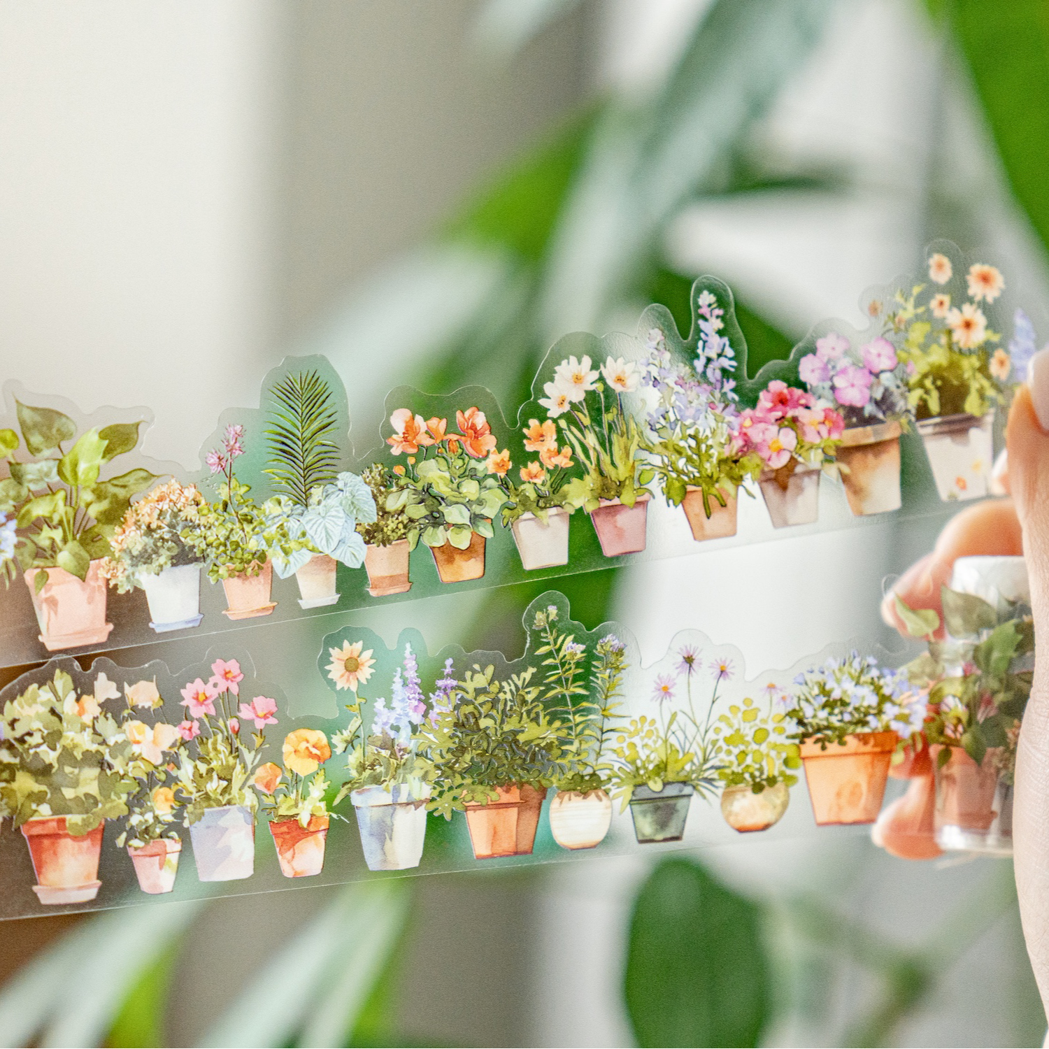 悠长生活可爱植物盆栽胶带手账贴