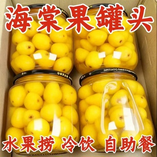 新鲜海棠果罐头鲜甜大瓶开盖即食网红居家宿舍解馋零食510g*1罐